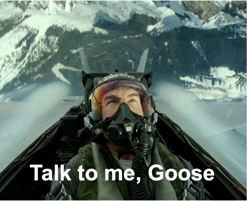 Talk to me, Goose®